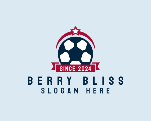 Soccer Ball Banner logo design