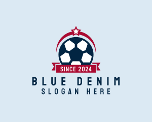 Soccer Ball Banner logo design