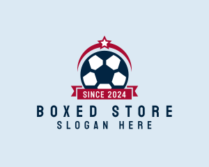 Soccer Ball Banner logo design