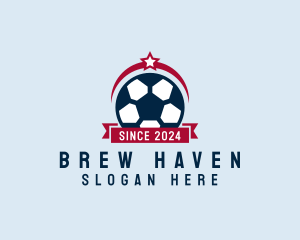 Soccer Ball Banner logo design