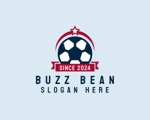 Soccer Ball Banner logo design