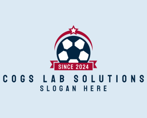 Soccer Ball Banner logo design