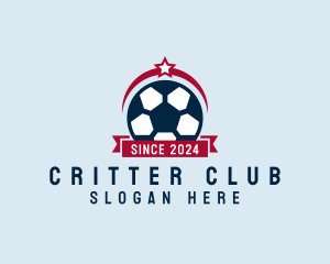 Soccer Ball Banner logo design