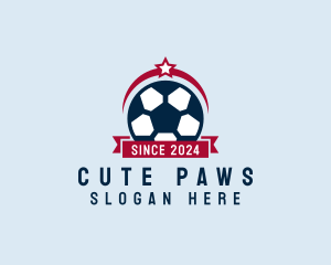 Soccer Ball Banner logo design