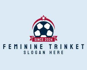 Soccer Ball Banner logo design