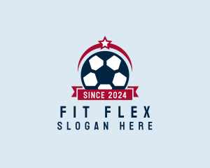 Soccer Ball Banner logo design