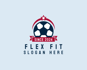 Soccer Ball Banner logo design