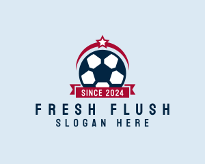 Soccer Ball Banner logo design