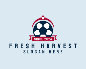 Soccer Ball Banner logo design