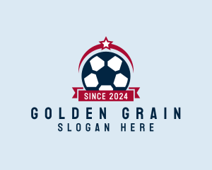 Soccer Ball Banner logo design