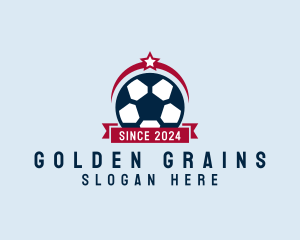 Soccer Ball Banner logo design