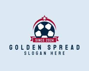 Soccer Ball Banner logo design