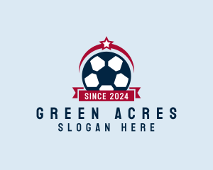 Soccer Ball Banner logo design