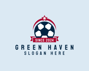 Soccer Ball Banner logo design