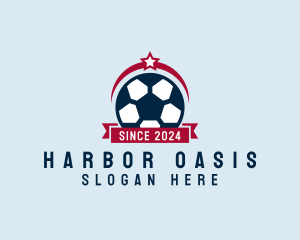 Soccer Ball Banner logo design