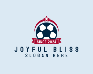 Soccer Ball Banner logo design