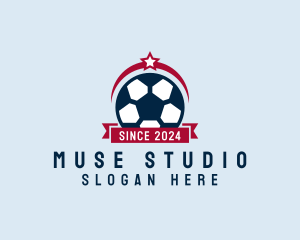 Soccer Ball Banner logo design