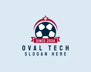 Soccer Ball Banner logo design