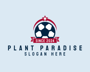 Soccer Ball Banner logo design