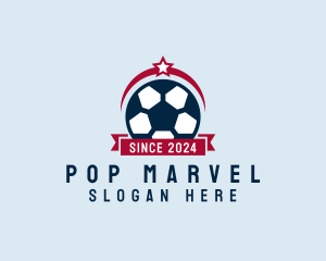 Soccer Ball Banner logo design