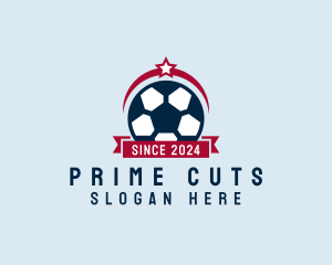 Soccer Ball Banner logo design