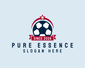 Soccer Ball Banner logo design