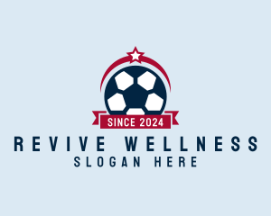 Soccer Ball Banner logo design