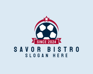 Soccer Ball Banner logo design