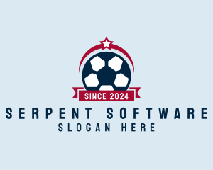 Soccer Ball Banner logo design