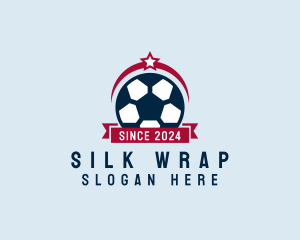 Soccer Ball Banner logo design