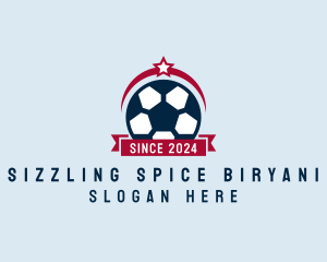 Soccer Ball Banner logo design