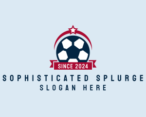 Soccer Ball Banner logo design