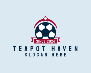 Soccer Ball Banner logo design