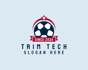 Soccer Ball Banner logo design