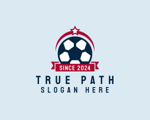 Soccer Ball Banner logo design