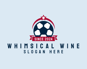 Soccer Ball Banner logo design