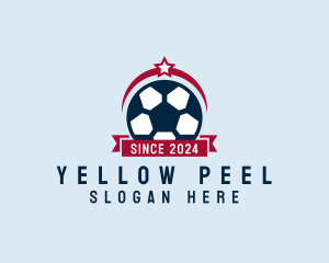 Soccer Ball Banner logo design