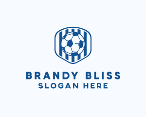 Blue Soccer Ball logo design