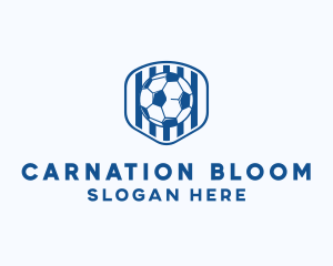 Blue Soccer Ball logo design