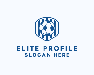 Blue Soccer Ball logo design