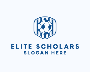 Blue Soccer Ball logo design