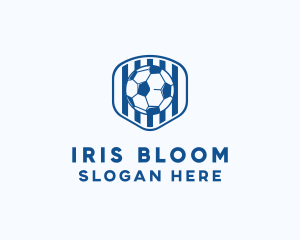 Blue Soccer Ball logo design