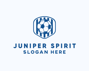 Blue Soccer Ball logo design