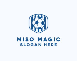 Blue Soccer Ball logo design