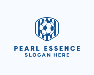 Blue Soccer Ball logo design