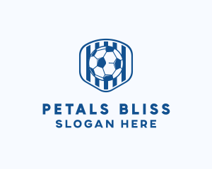 Blue Soccer Ball logo design