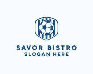 Blue Soccer Ball logo