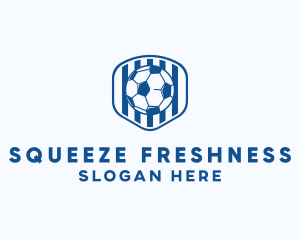 Blue Soccer Ball logo design