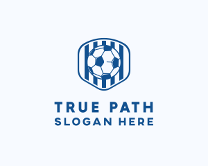 Blue Soccer Ball logo design