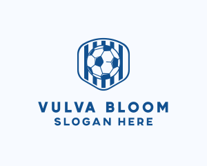 Blue Soccer Ball logo design